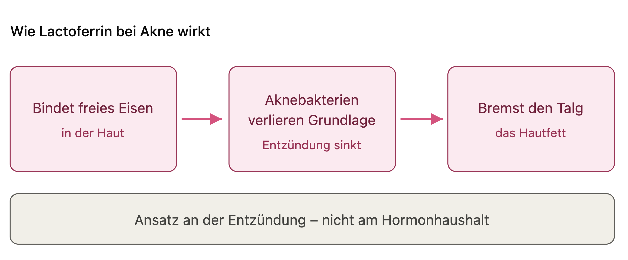 Lactoferrin Wirkmechanismus | Hautärztin Dr. Nóra Eiler